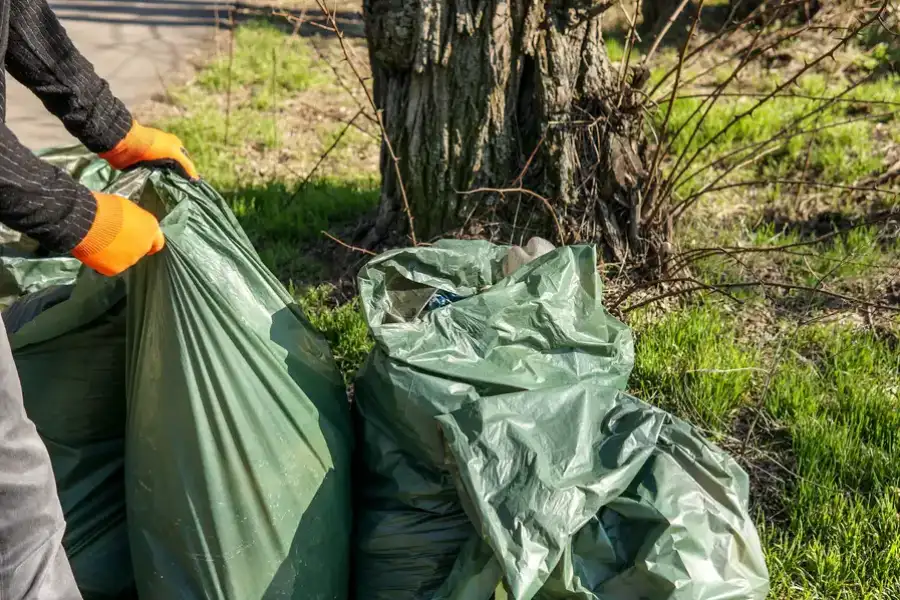 How Garbage Removal Services Support Sustainable Waste Management Wellington, NV How Garbage Removal Services Support Sustainable Waste Management Wellington, NV