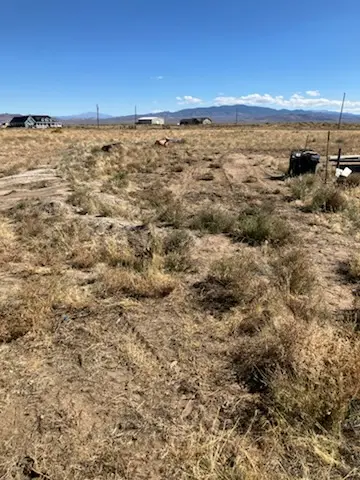 Junk Hauling