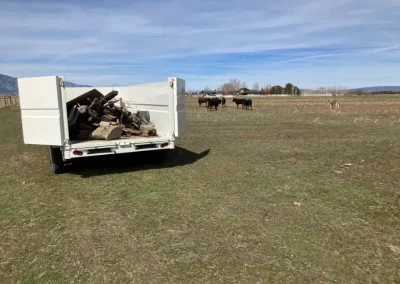 Junk Removal Service