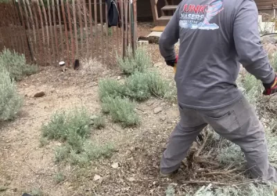 Expert Junk Hauling